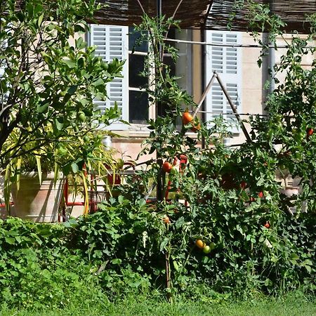 Les Passiflores Grasse Dış mekan fotoğraf