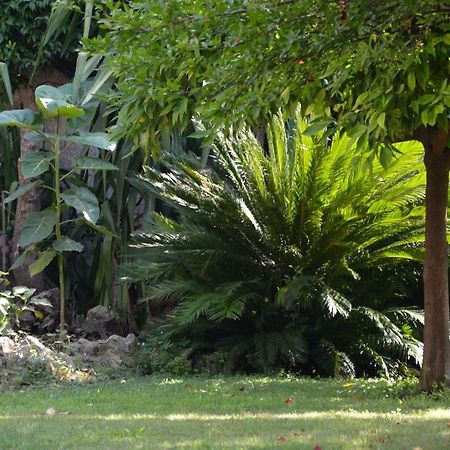 Les Passiflores Grasse Dış mekan fotoğraf
