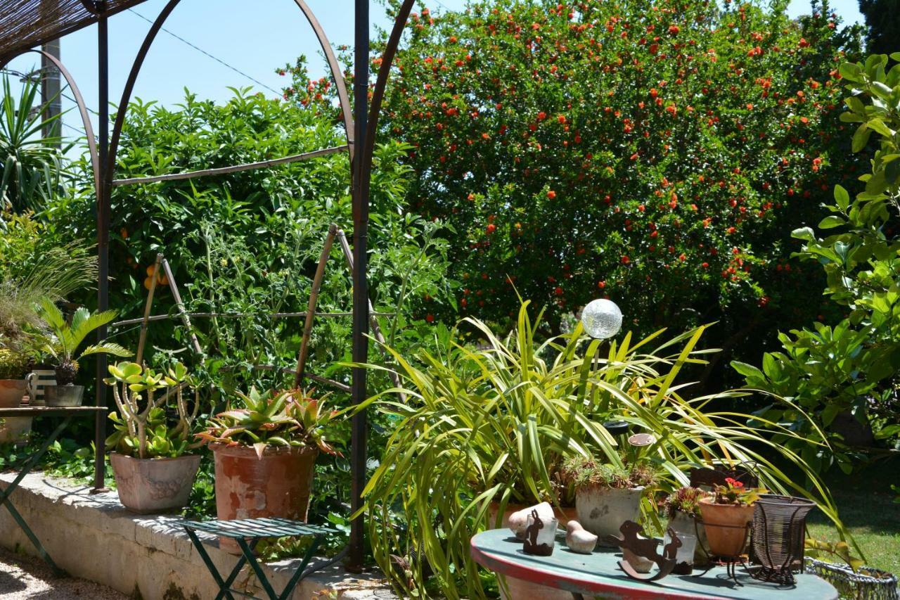 Les Passiflores Grasse Dış mekan fotoğraf