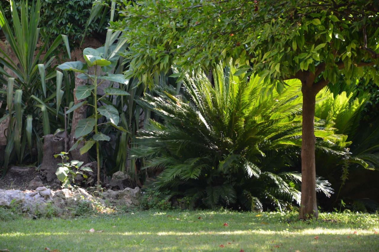 Les Passiflores Grasse Dış mekan fotoğraf